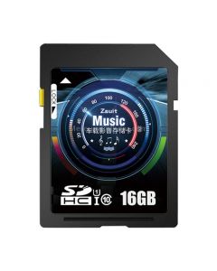 Zsuit 16GB High Speed Class10 Car Audio and Video SD Memory Card