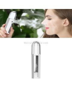 BC706A Nano Spray Water Hydration Instrument Alcohol Disinfection Sprayer Cold Humidifier Steam Face Instrument