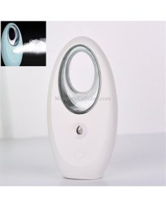 30ML Alcohol Disinfection Sprayer Portable Nano Spray Steaming Face Water Moisture Meter